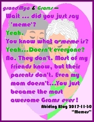 grandMya & GRAMS: "Wait ... did you just say 'meme'?" "YEAH." "You know what a MEME is?" "YEAH...DOESN"T EVERYONE?" "No. They don't. Most of my friends know, but their parents don't. Even my mom doesn't...You just became the most awesome Grans EVER!" #Meme #AwesomeGrandmother #grandMya #AbidingBlog2017Memes